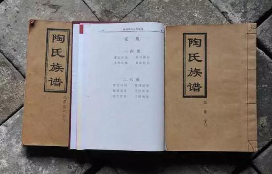 和其他家族不一样的是
