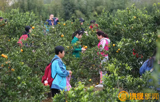 南昌冬日亲子游宝藏攻略快收藏