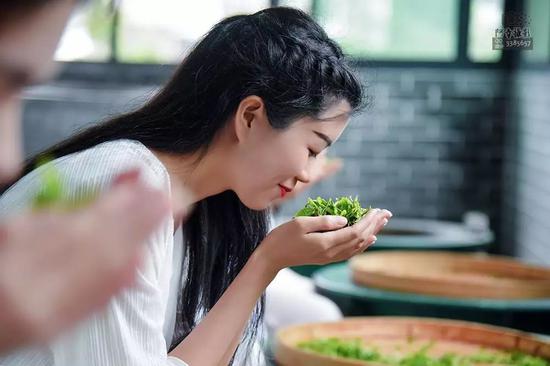 一壶清水,一杯香茗