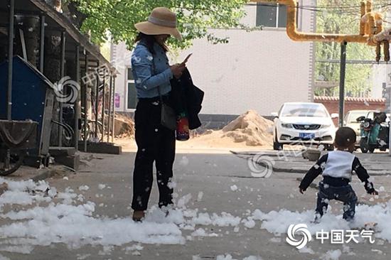 近日,河北石家庄气温攀升,空气干燥,杨柳絮飘散到各处。
