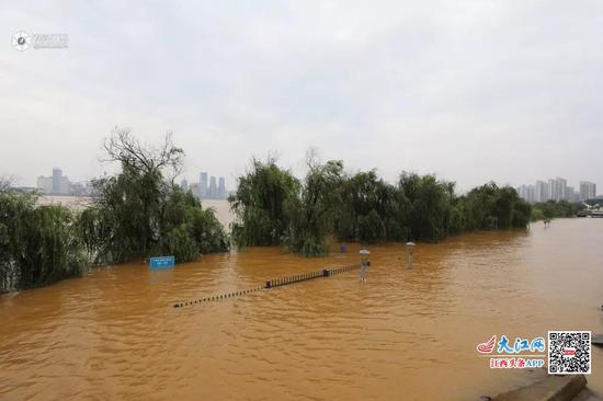 中国江西网/江西头条客户端见习记者 舒言诚 摄