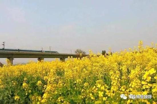 新余市分宜县操场乡上松村