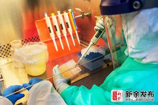 (新余日报通讯员 陈东摄)
