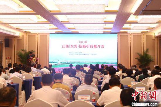 由江西省人民政府主办,江西省台办、江西省商务厅承办的2021江西(东莞)招商引资推介会在此间举行。 记者 刘占昆 摄