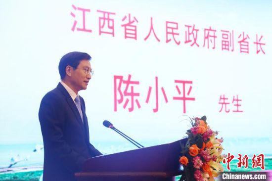 图为5月19日下午,江西省政府副省长陈小平在2021江西(东莞)招商引资推介会上致辞。 记者 刘占昆 摄