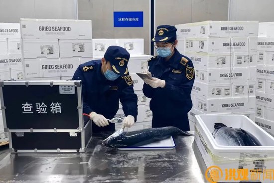 同比增长61.7%！南昌“卡车航班”货运忙