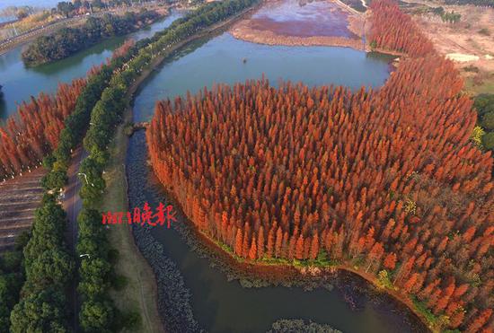 足足|足足217秒！南昌登上《新闻联播》！