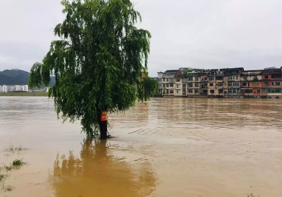 龙南县多地受灾 （肖大庆 摄）