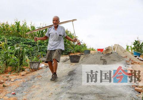 6月20日清晨6时,79岁的刘业善就开始挑水泥浆铺路了。记者 颜篁摄