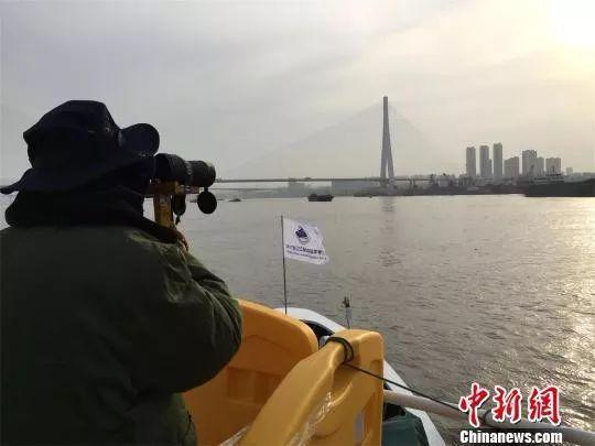 资料图:长江江豚生态科学考察队科考人员正在工作 杜华柱 摄