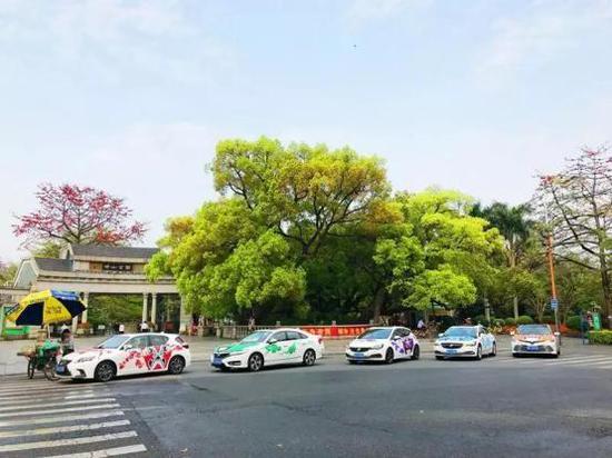替换高清大图