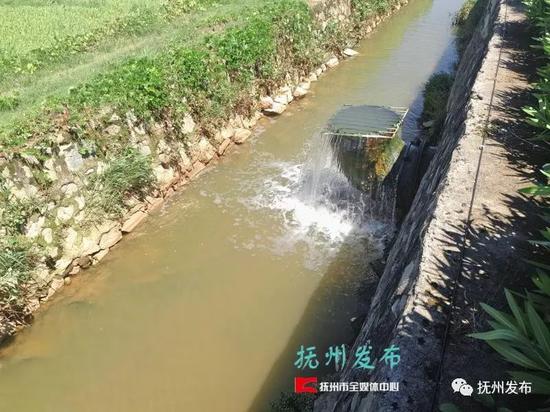 金溪人口数_宁德金溪首府户型图(2)