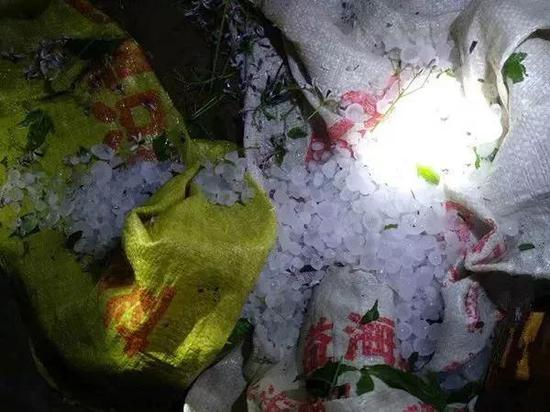 洒落了一地