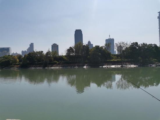 12月1日,周末,筼筜湖畔,劳荣枝曾密集活动于这一带。新京报记者 韩茹雪 摄