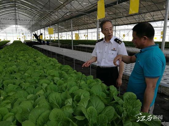 今年前5月,江西蔬菜出口“一带一路”沿线国家1.35亿元,同比增长1.5倍。(图片由南昌海关提供)