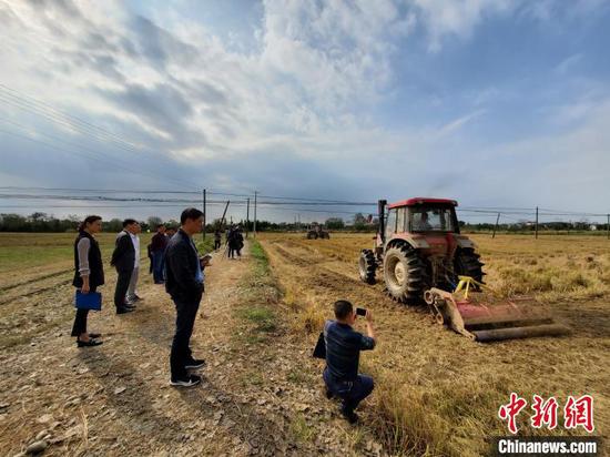 图为南昌市安义县秸秆收储现场。　华山 摄