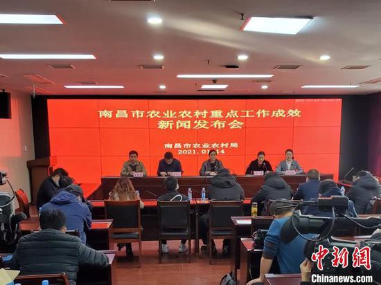 图为南昌市农业农村重点工作成效新闻发布会现场。 华山 摄
