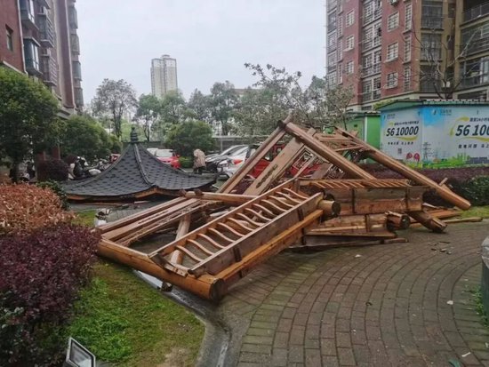 地点:高安 拍摄:陶豪