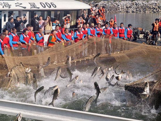 数名工作人员合力拉起巨大的渔网，“第一网”破水而出