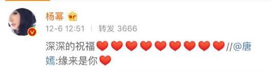 ——— 我是情史分割线 ———