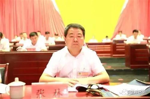 修水县县长张林资料图