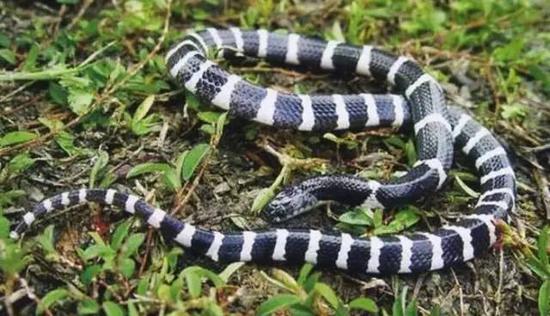 踏青千万小心!已有不少江西人险丧命 赶紧来看看_新浪江西_新浪网