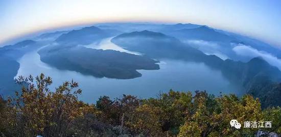 我们赞美山谷中苍劲挺拔的大树，因为它在低处汲取着大地的营养，托举着昂扬向上的蓬勃生机。