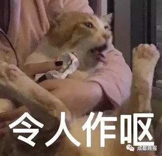 另一位受害者就没这么幸运了……