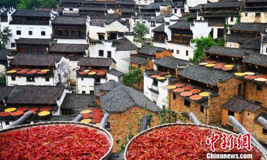 “中国最美乡村”江西省婺源县篁岭古村。8月7日摄 方华彬 摄
