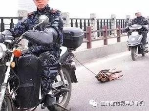 (网络配图)