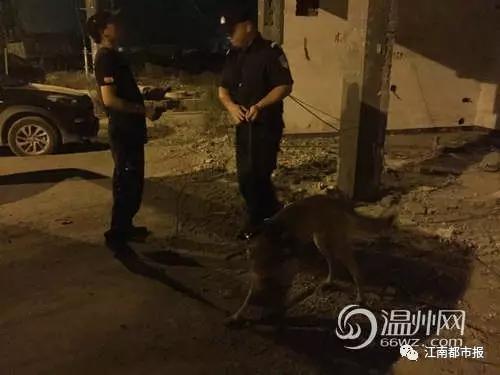 那是志愿者忘了疲惫,无怨无悔伸出援手,出谋划策,不求回报;