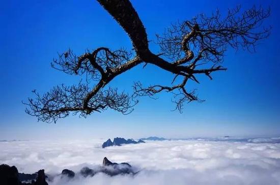 三清山的蔚蓝,是那样的清澈,让人清静安心,在这炎炎夏日之中,何不用那一抹纯净的蓝色给自己降降温呢?