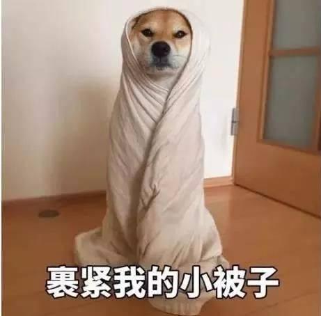 上一轮降温才没几天,