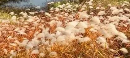 不管怎么说,