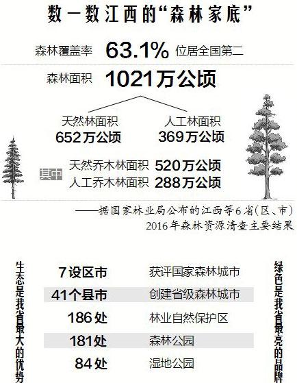 2019年全面启动调查
