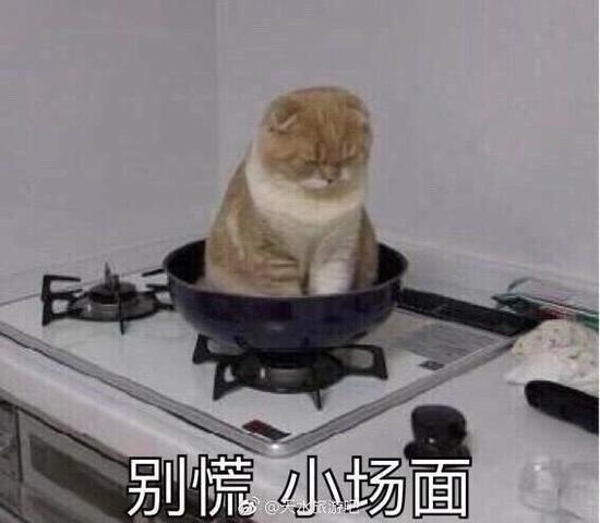 没想到好好的悉尼突然下了一场大冰雹,把整个菜地的苗子给?#19968;怠?><span class=