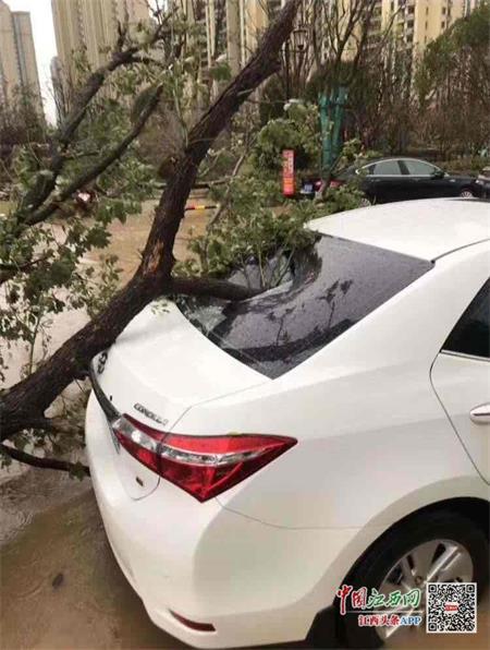 上饶鹰潭等地突降冰雹 赣州气温飙升至30℃(图
