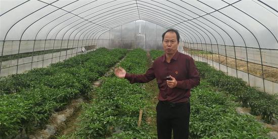 10月23日,永新县禾川镇汴田村第一书记吴页宝介绍村里的蔬菜大棚。新华社记者 熊家林 摄