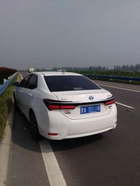 大河报•大河客户端记者 于扬 李玉坤 文图