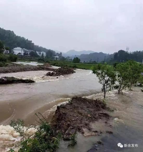 ▶7月7日下午雨量激增,导致鹊桥村一座年代较久的石拱桥被冲毁。