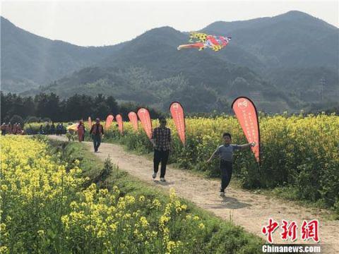 图为新建村油菜花田。　林波 摄