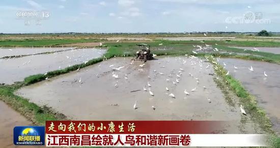 足足|足足217秒！南昌登上《新闻联播》！