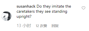 Susanhack：她们是不是在模仿站得笔直的管理员呀？