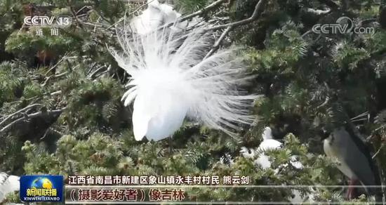 足足|足足217秒！南昌登上《新闻联播》！