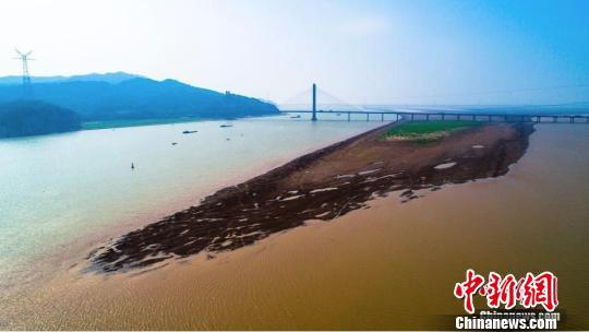 2019年10月10日，江西九江湖口县，往日被湖水淹没的滩涂大面积显露。　李学华摄