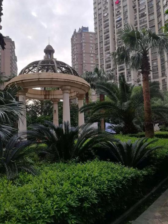 图片来源:大江网