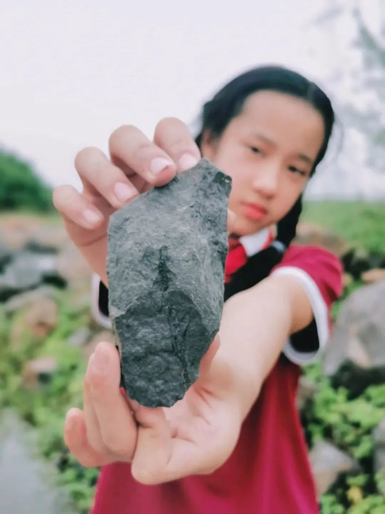 江西一小学生发现两亿年前植物化石