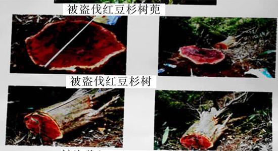 千起刑案