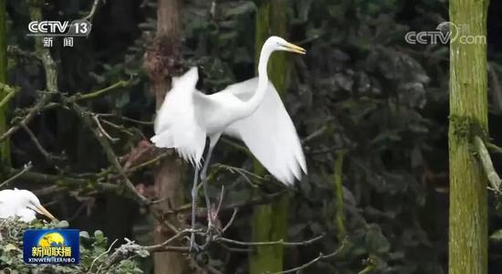 足足|足足217秒！南昌登上《新闻联播》！