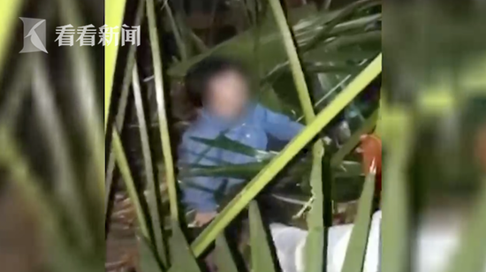 小区植被立功!4岁双胞胎姐妹17楼坠下奇迹生还